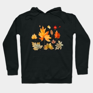 The leaves are falling from the trees, and they are changing color. Hoodie